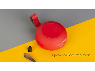 Портативная акустика Mysound BT-35