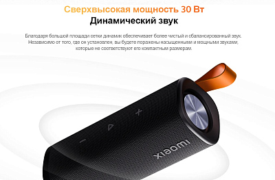 Портативная колонка Xiaomi Sound Outdoor 30W, черный