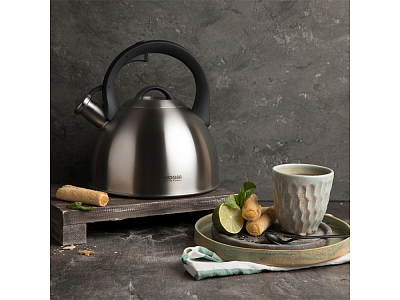 Чайник со свистком IRMA, 3 л