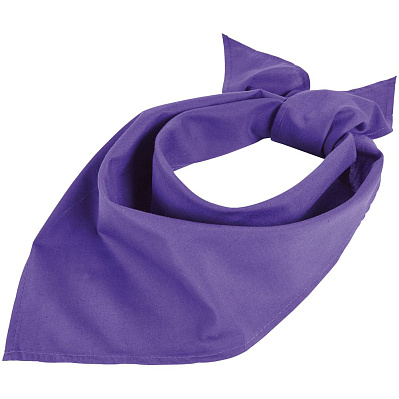 Шейный платок Bandana, темно-фиолетовый (Фиолетовый)