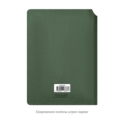 Ежедневник Molto недатированный, зеленый