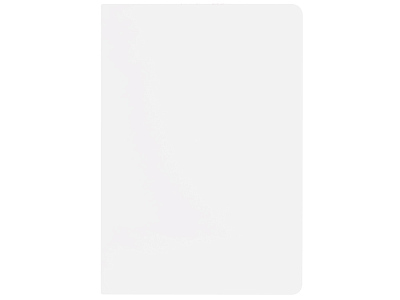 Бизнес-тетрадь А5 Pragmatic Contrast