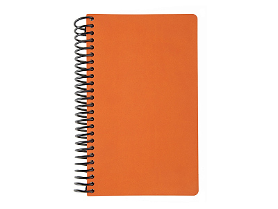 Ежедневник недатированный А5 Agenda