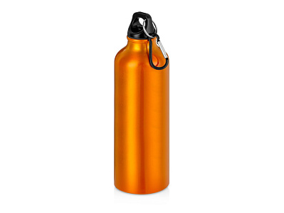 Бутылка Hip M с карабином, 770 мл (Оранжевый)