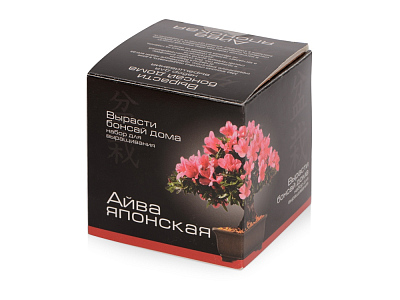 Подарочный набор Вырасти Бонсай дома. Айва Японская