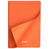 Ежедневник Латте (Latte NEW) недатированный, оранжевый/оранжевый - Фото 9