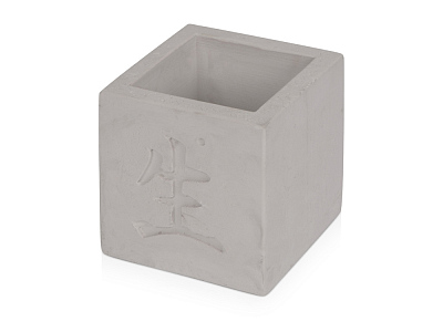 Подарочный набор Вырасти Бонсай дома. Айва Японская