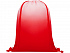 Рюкзак Oriole с плавным переходом цветов - Фото 2