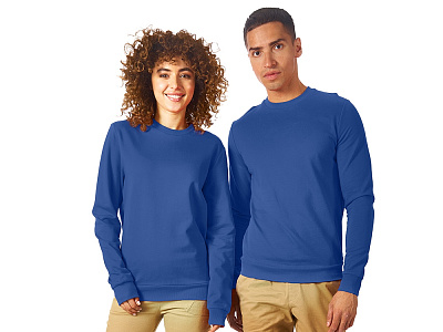 Свитшот Motion с начесом, унисекс (Классический синий) Свитшот Motion с начесом, унисекс (Классический синий)