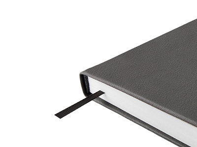 Ежедневник недатированный А5 Status