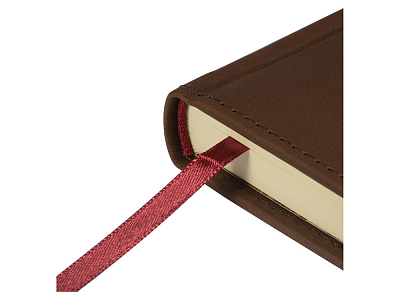 Ежедневник недатированный А5 Velvet Index с индексами