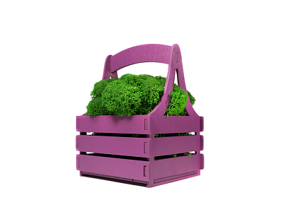 Композиция Корзинка со мхом