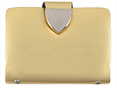 Визитница Кэри