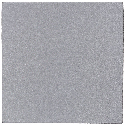 Лейбл светоотражающий Tao, L, серый