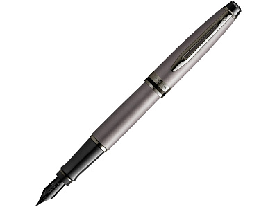 Ручка перьевая Expert Metallic, F (Серебристый, черный)