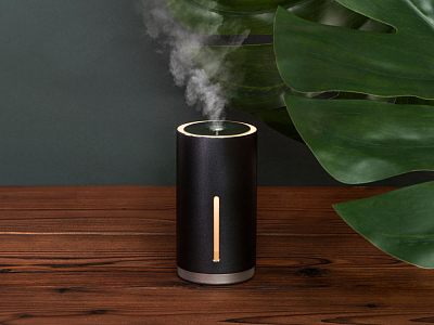 Портативный увлажнитель с функцией санитайзера Clain