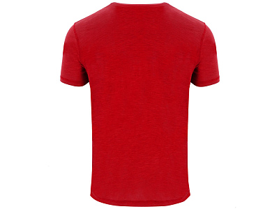 Футболка Terrier мужская