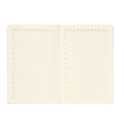 Ежедневник Arctic недатированный, белый/черный