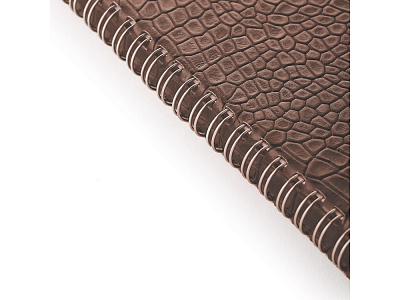 Ежедневник недатированный А5 Boston