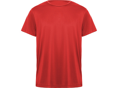 Спортивная футболка Daytona мужская