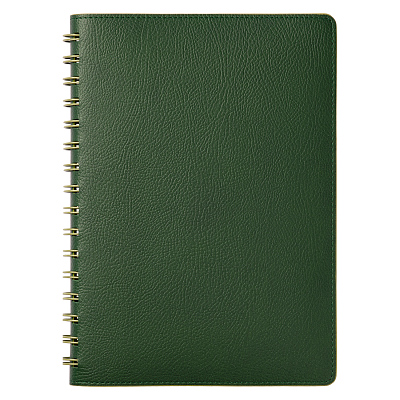 Ежедневник Виста (Vista) недатированный, зеленый/салатовый