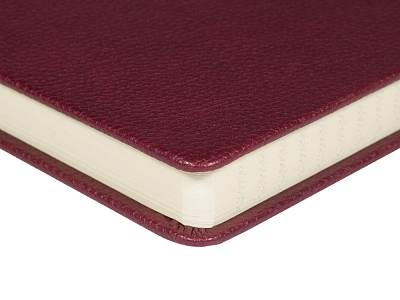 Ежедневник А5 датированный Megapolis Loft на 2026