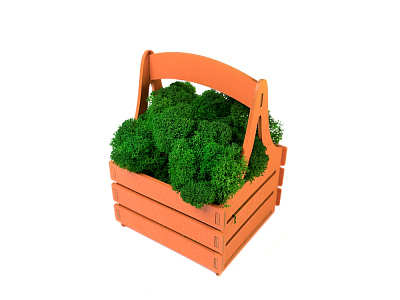 Композиция Корзинка со мхом