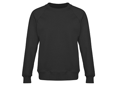 Свитшот оверсайз с рукавом реглан Belgrade, унисекс