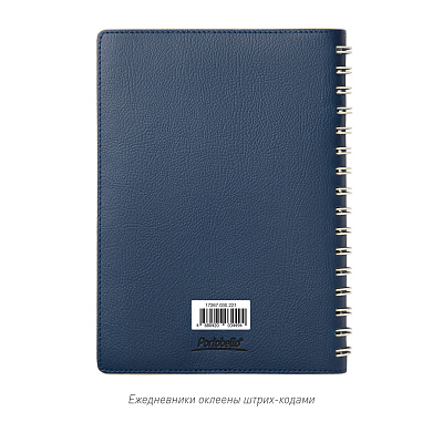 Ежедневник Vista недатированный, синий/бежевый