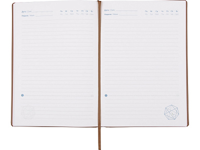 Ежедневник недатированный А5 Lead AR