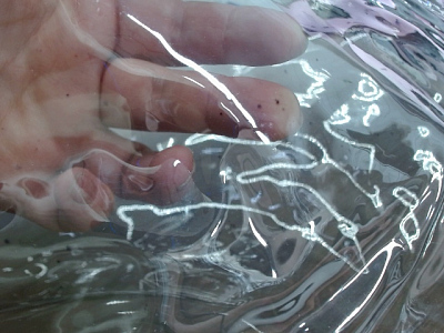 Сумка Frank из прозрачного пластика с регулирующейся лямкой