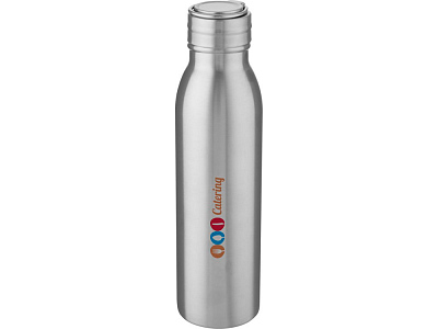 Бутылка спортивная из стали Harper, 700 мл