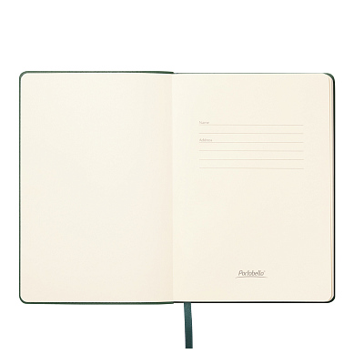 Ежедневник Verona недатированный, зеленый