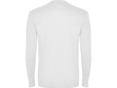 Футболка с длинным рукавом Pointer мужская