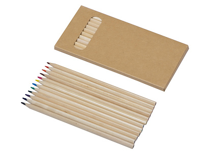 Набор из 12 трехгранных цветных карандашей Painter (Упаковка- крафт, карандаши- натуральный)