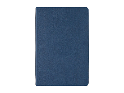 Ежедневник недатированный А5 Megapolis Nappa