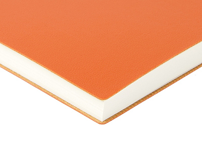 Ежедневник недатированный А5 Grand