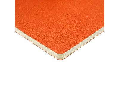 Бизнес тетрадь А5 Megapolis Velvet flex soft touch