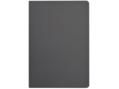 Бизнес-тетрадь А5 Pragmatic Contrast