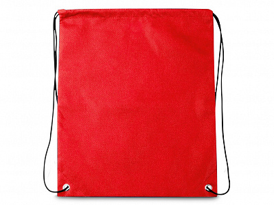 Сумка-рюкзак (Красный)