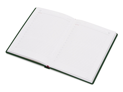 Ежедневник недатированный А5 Velvet