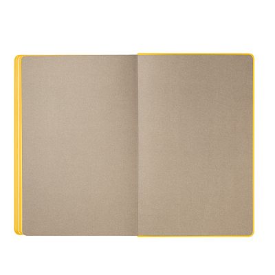 Ежедневник Rain недатированный, желтый (без упаковки, без стикера)