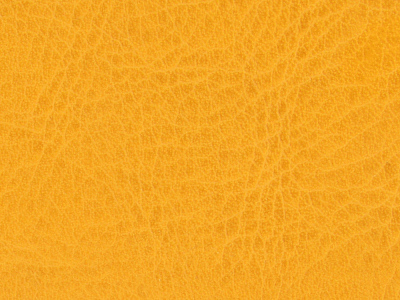 Ежедневник недатированный А5 Vivid Flex AR