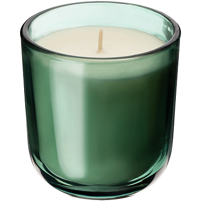 Набор Vitral, дубовый мох и пачули, зеленый