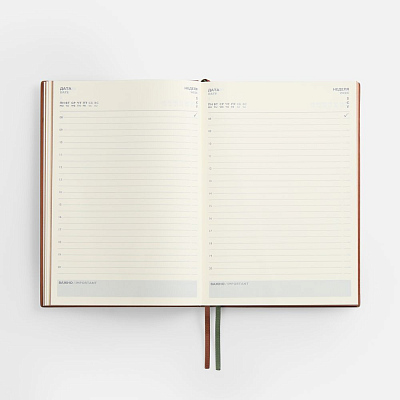 Ежедневник Avila, недатированный, зеленый