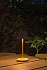 Беспроводная настольная лампа Pure Glow из переработанного пластика RCS - Фото 9