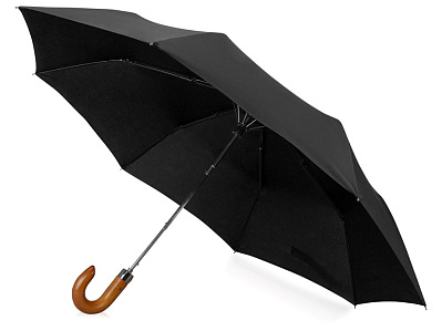 Зонт складной Cary (Черный)