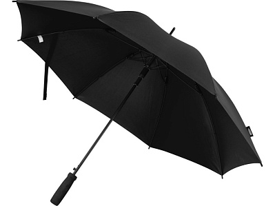 Зонт-трость Niel из из RPET (Черный)