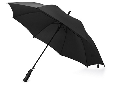 Зонт-трость Concord (Черный)